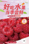 树莓海报