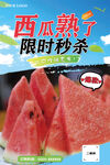 西瓜海报