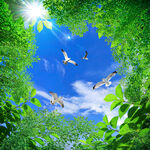 蓝天白云软膜天花吊顶