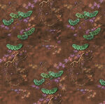 微观世界的绿色奇妙生物