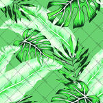 绿色热带植物叶脉图案