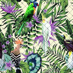 鹦鹉花鸟图案布料纹理