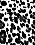 黑白斑点纹理图案