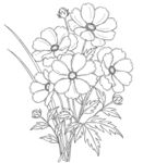 手绘花卉线稿插画 矢量图