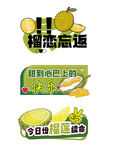 榴莲贴纸