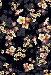 黑色底花卉图案纹理
