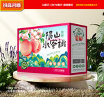 水蜜桃包装 桃子礼盒