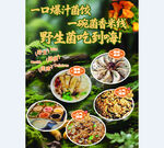 野生菌火锅海报