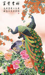 花鸟画 孔雀图