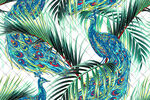 孔雀与热带植物图案