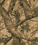 迷彩树叶纹理图案