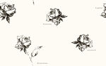 黑白玫瑰手绘图案设计