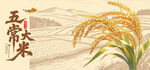 五常大米稻田插画