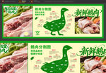 新鲜鹅肉宣传海报