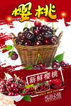 樱桃 
