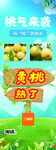 黄桃展架