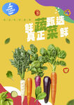 蔬菜海报