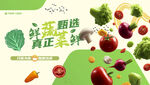 蔬菜海报
