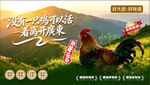 广东鸡海报