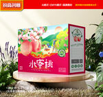 水蜜桃包装 桃子礼盒