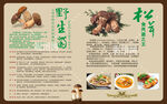 野生菌海报