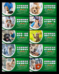 宠物店