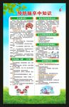 世界预防中风日海报