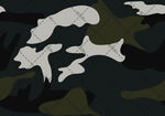 迷彩图案纹理