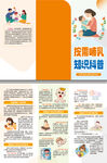 按需哺乳知识科普三折页