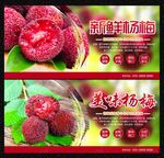 杨梅