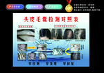 头皮毛囊检测