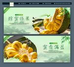 菠萝蜜