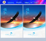 鹰飞鹰老鹰