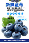 蓝莓