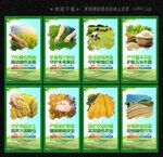 耕地保护