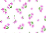 粉色小花 花朵 图案 设计