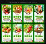 有机蔬菜