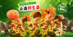 野生菌海报