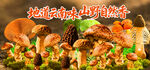 野生菌海报