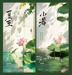地产夏至小暑荷花节气海报
