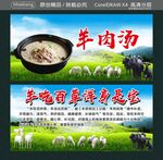 羊肉汤