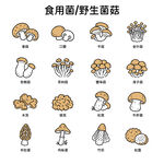 矢量手绘线条蘑菇菌菇图标