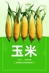 玉米