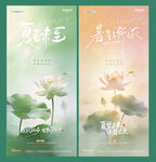夏至小暑荷花光影海报