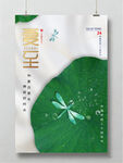 夏至海报