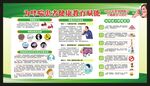 世界哮喘日宣传栏