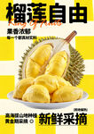 榴莲海报