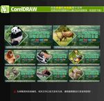 保护野生动物