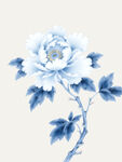 蓝白牡丹花卉图