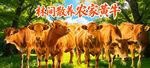 黄牛海报
